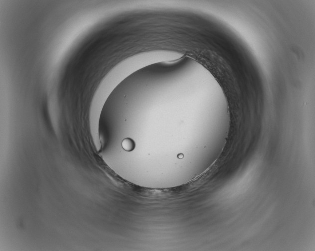 X0000112110239200909011152