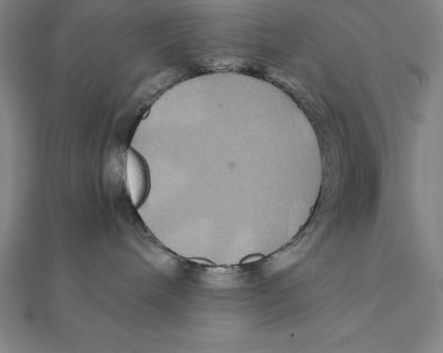 X0000112110240200909011152