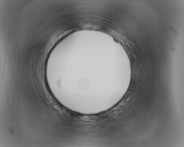 X0000112110241200909011151
