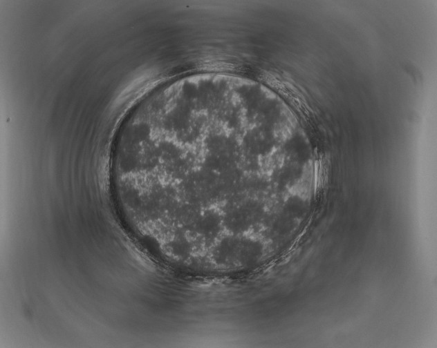 X0000112110243200909011151
