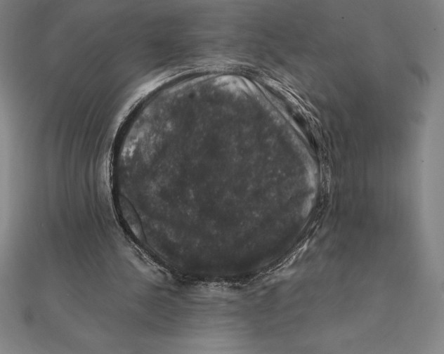 X0000112110244200909011151