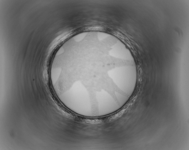 X0000112110245200909011151