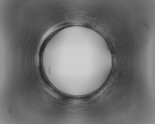 X0000112110246200909011151