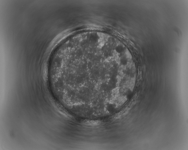 X0000112110247200909011151