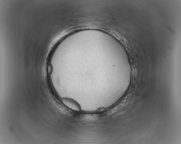X0000112110248200909011151