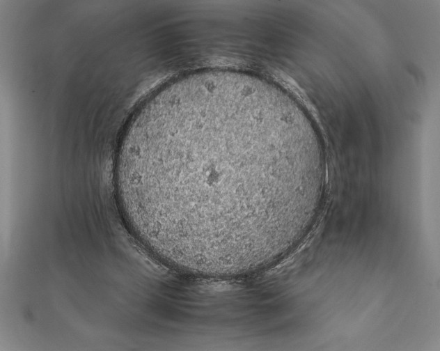 X0000112110249200909011151