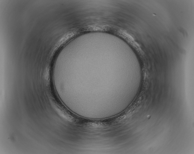 X0000112110250200909011151