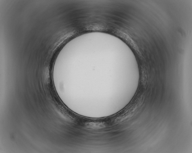 X0000112110251200909011151