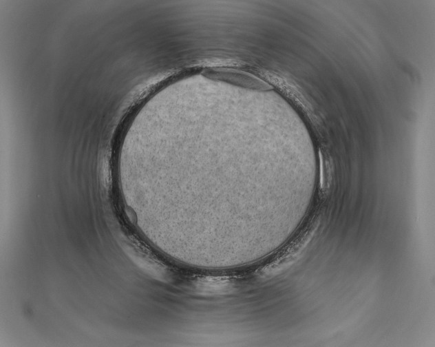 X0000112110252200909011151
