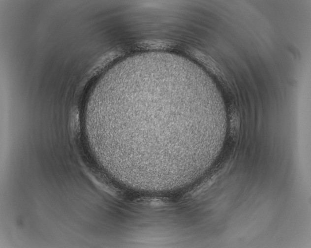 X0000112110254200909011151