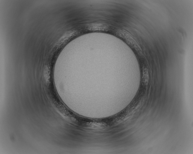 X0000112110255200909011151