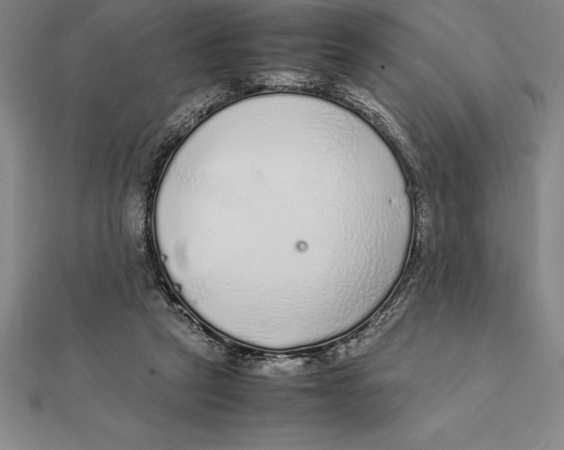 X0000112110257200909011151