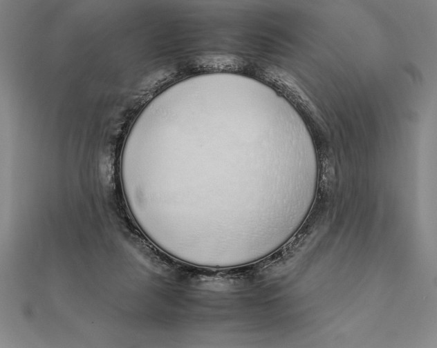 X0000112110259200909011152