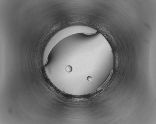 X0000112110260200909011152