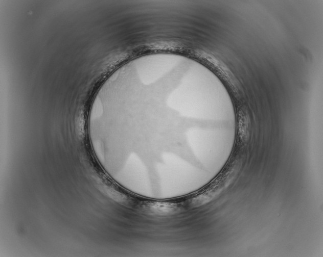 X0000112110261200909011152