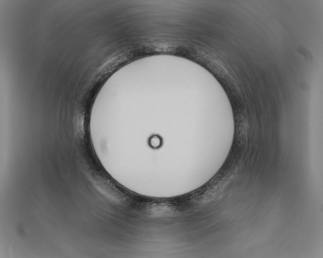 X0000112110262200909011152