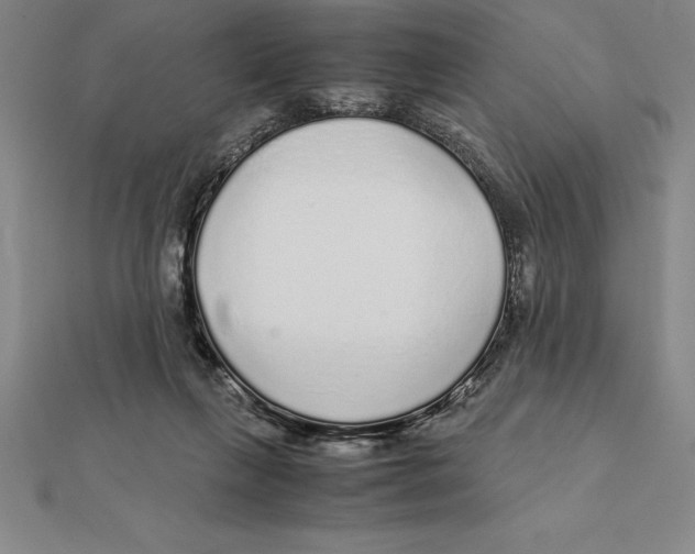 X0000112110263200909011152