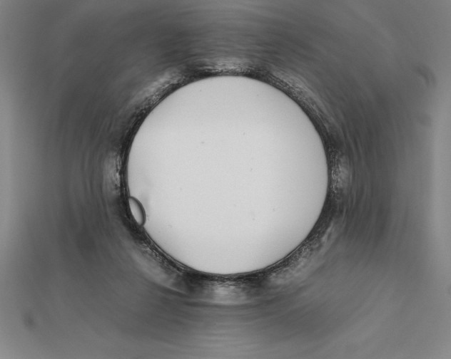 X0000112110264200909011152