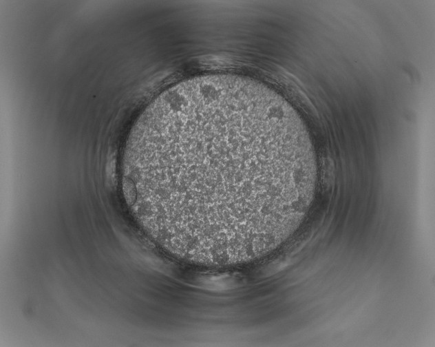 X0000112110267200909011152