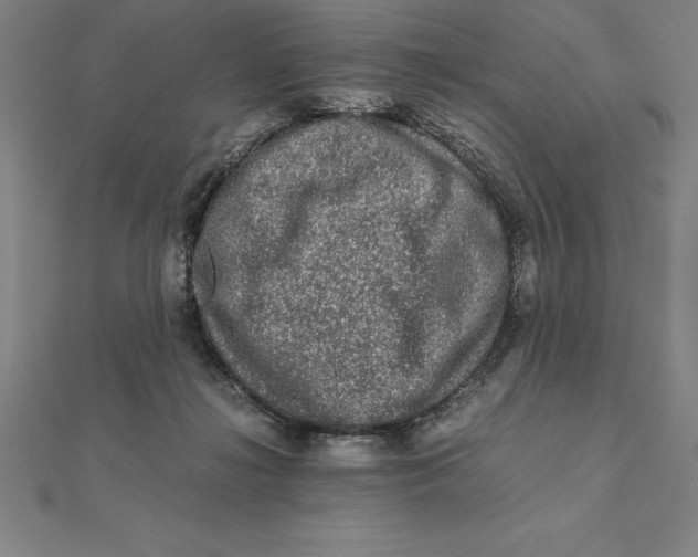 X0000112110268200909011152