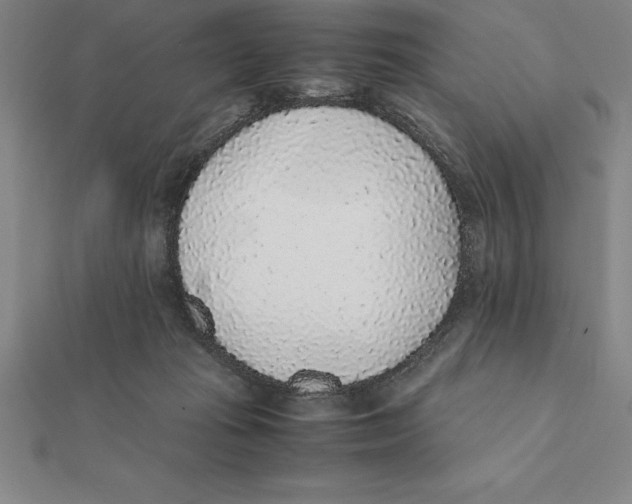 X0000112110269200909011152