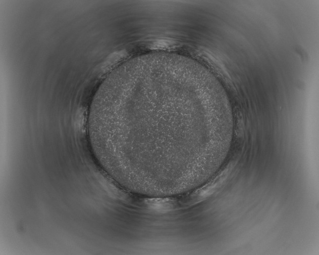 X0000112110273200909011152
