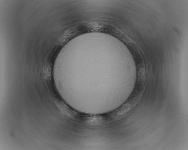 X0000112110274200909011152