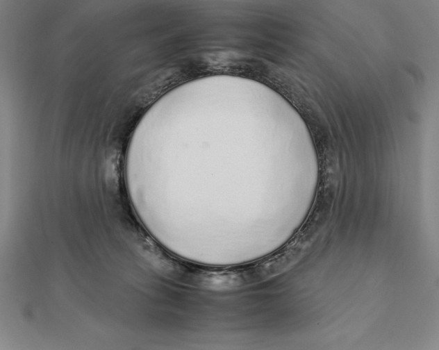 X0000112110275200909011152