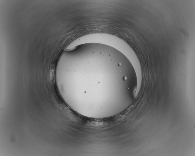X0000112110276200909011152