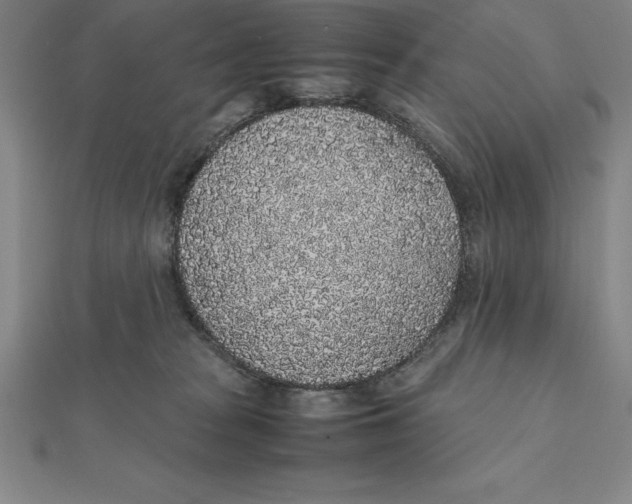 X0000112110277200909011152