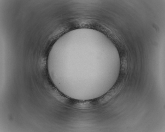 X0000112110278200909011152