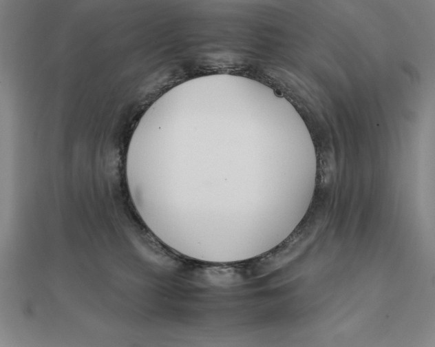 X0000112110279200909011152