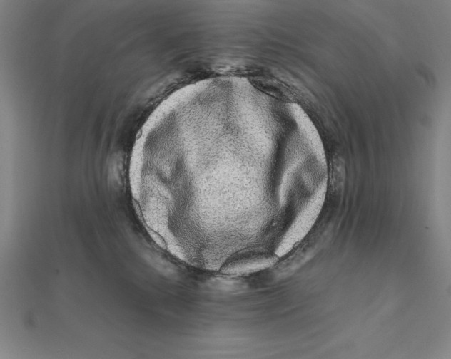 X0000112110280200909011152