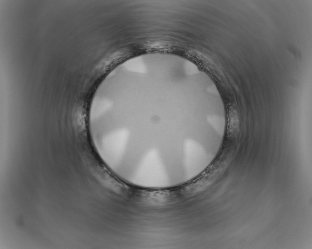 X0000112110282200909011152