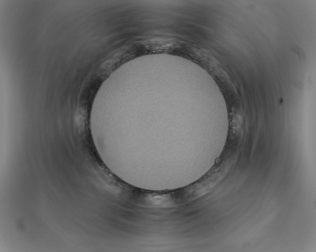 X0000112110283200909011152