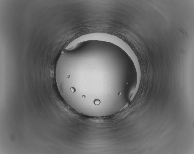 X0000112110284200909011152