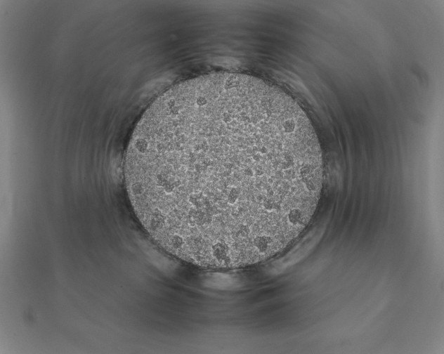 X0000112110285200909011152