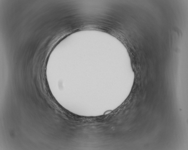 X0000112110289200909011151