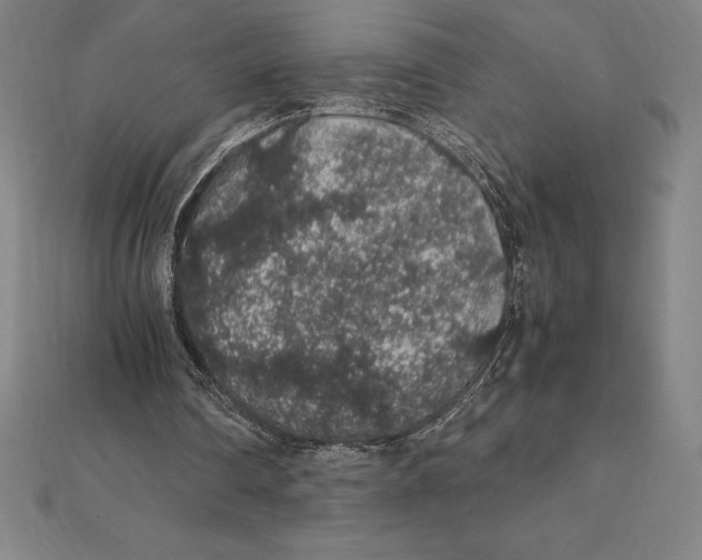 X0000112110290200909011151