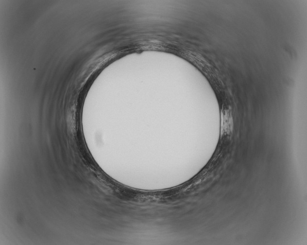 X0000112110291200909011151