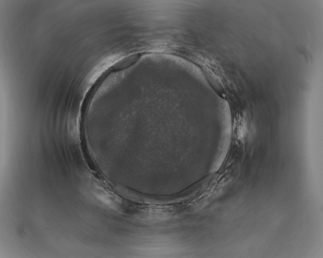 X0000112110292200909011151