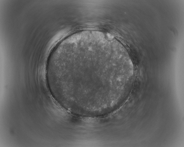 X0000112110293200909011151
