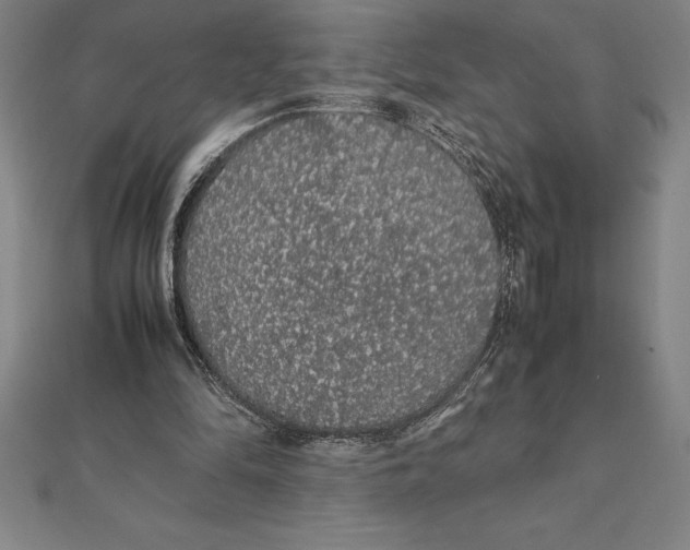 X0000112110294200909011151