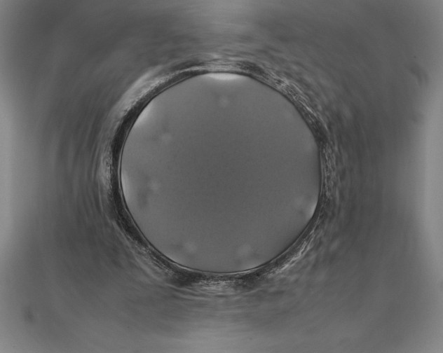 X0000112110295200909011151
