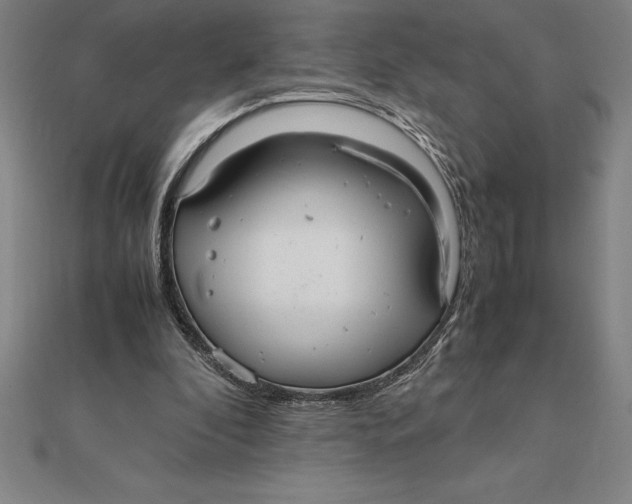 X0000112110296200909011151