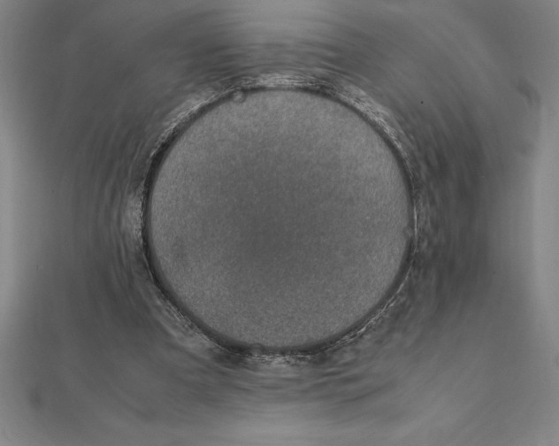 X0000112110297200909011151