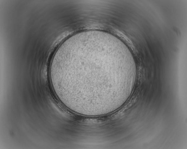 X0000112110298200909011151