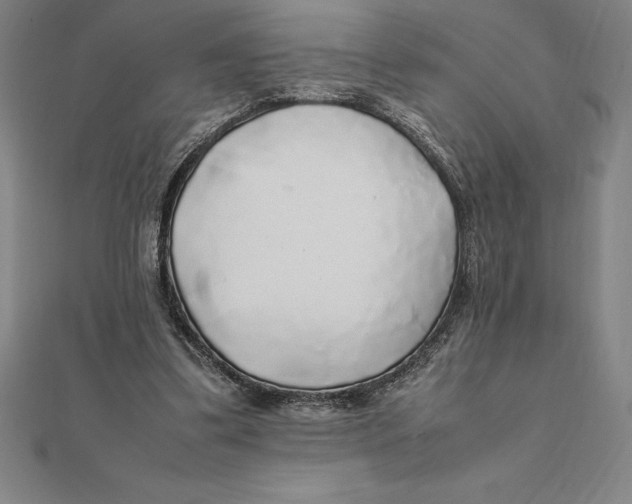 X0000112110299200909011151