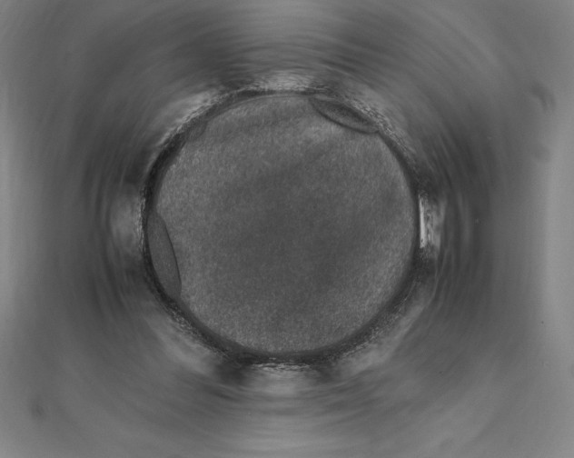 X0000112110300200909011151