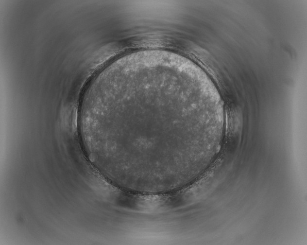 X0000112110301200909011151